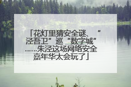 花灯里猜安全谜、“泾吾卫”巡“数字城”……朱泾这场网络安全嘉年华太会玩了